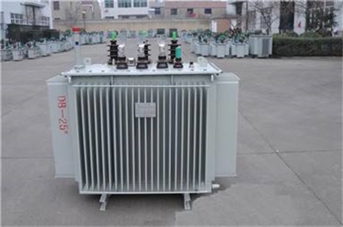 忻州S13-3150KVA/35KV油浸式变压器