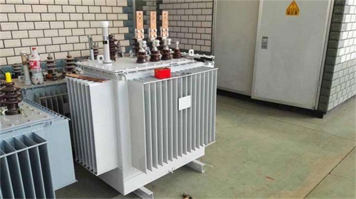 忻州S11-100KVA/10KV/0.4KV油浸式变压器